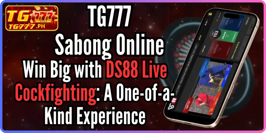 Win Big with DS88 Live Cockfighting A One-of-a-Kind Experience tg777